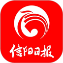 岛国播放器 